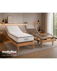 Sommier Électrique ITALIA FLEX : Meilleur Rapport Qualité/Prix
