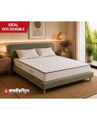 Matelas Therapeutique class : Mousse Haute Résilience 22cm | Altera Mobilier